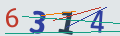 verifycode